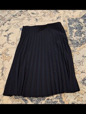 Everlane Navy Pleated Midi Skirt